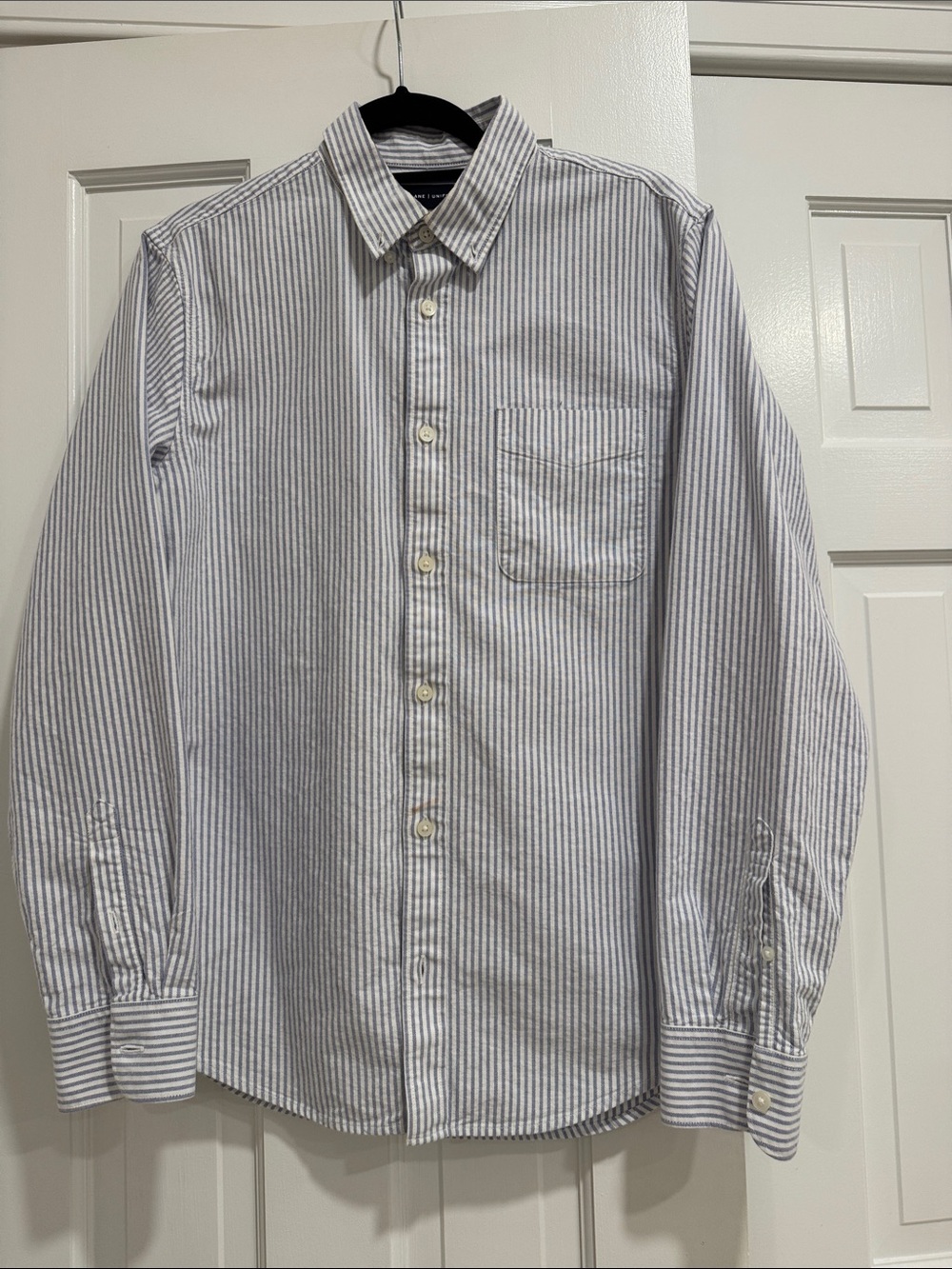 Everlane Men's Blue and White Vertical Stripe Button-Down Shirt
